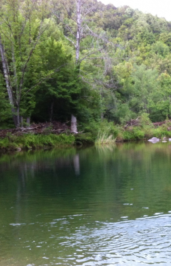 maremma toscana natura Poggio all Istrice lago dell Accesa