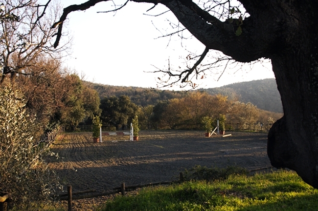 Equitazione passeggiate a cavallo Gavorrano